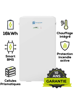 Leapton EL-A16 LiFePO4-lithiumbatterij 16 kWh 314 Ah – IP65 & ingebouwde verwarming